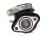 4381_19961