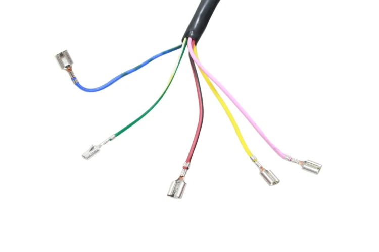 f8210aeec89cbcf5c390327ffe649eb9